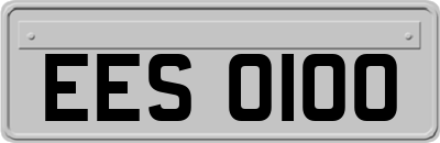 EES0100