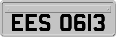 EES0613