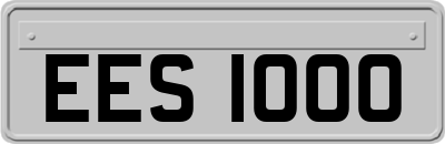 EES1000