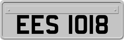 EES1018