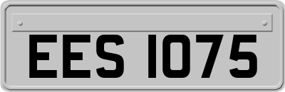 EES1075