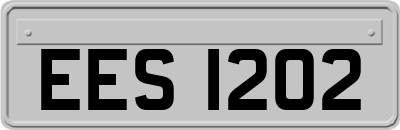 EES1202