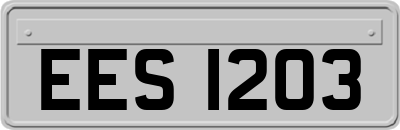 EES1203