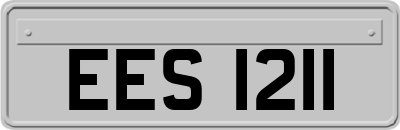 EES1211