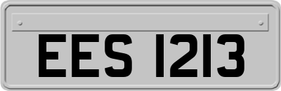EES1213