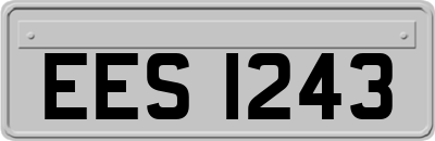 EES1243
