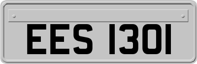 EES1301