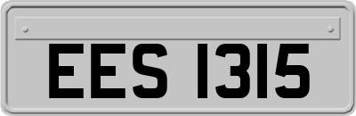 EES1315