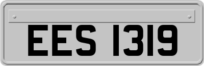 EES1319