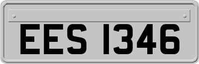EES1346
