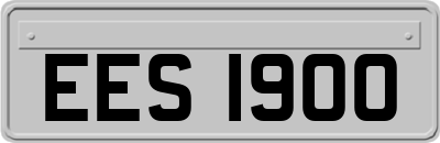 EES1900