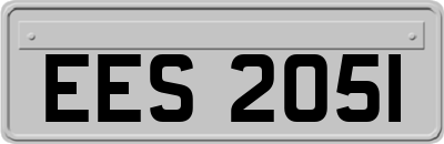 EES2051