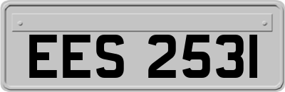 EES2531