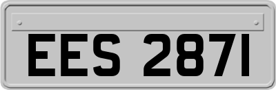 EES2871