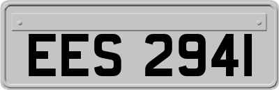 EES2941