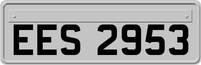 EES2953