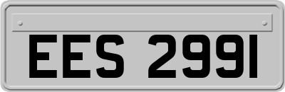 EES2991