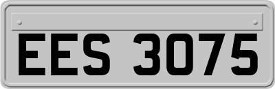 EES3075