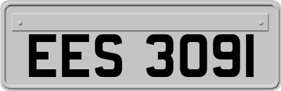 EES3091