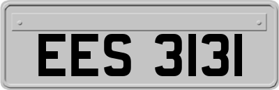 EES3131