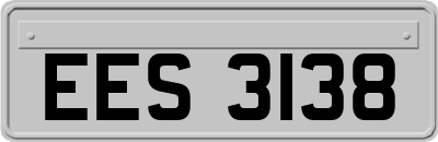 EES3138