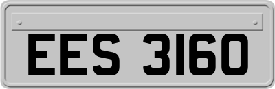EES3160
