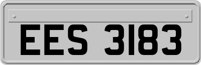 EES3183