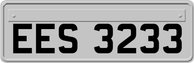 EES3233