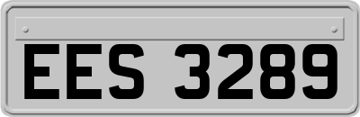 EES3289