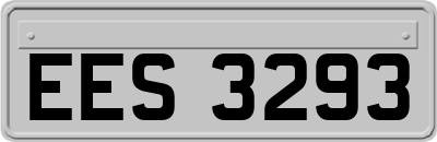 EES3293