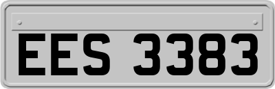 EES3383