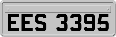 EES3395