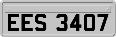 EES3407