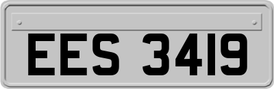 EES3419