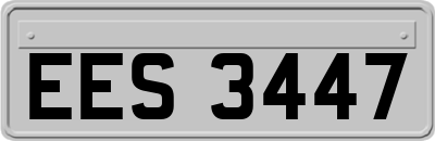 EES3447