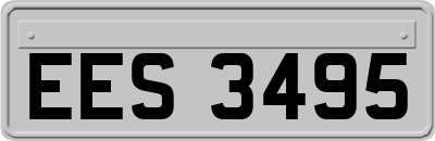 EES3495