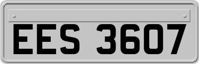 EES3607