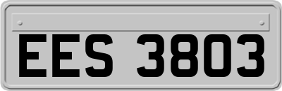 EES3803