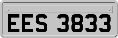 EES3833