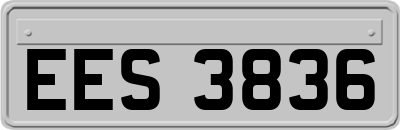 EES3836