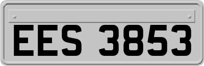 EES3853