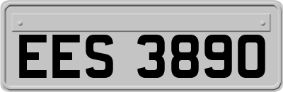 EES3890