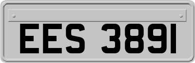 EES3891