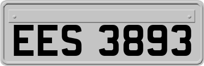 EES3893