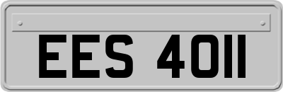 EES4011