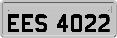 EES4022