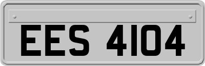 EES4104