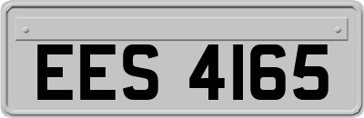 EES4165