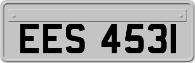 EES4531
