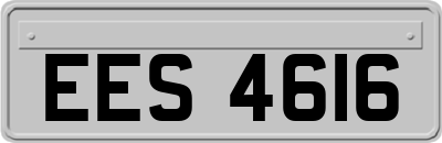 EES4616